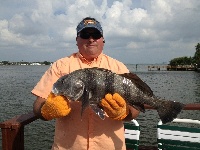 St Pete Beach Florida Fishing Report