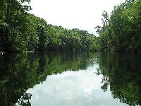 Wakulla River