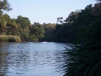 Chassahowitzka River