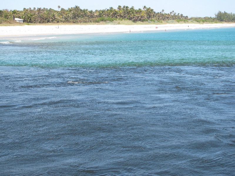 Gulf Stream fishing photo 1