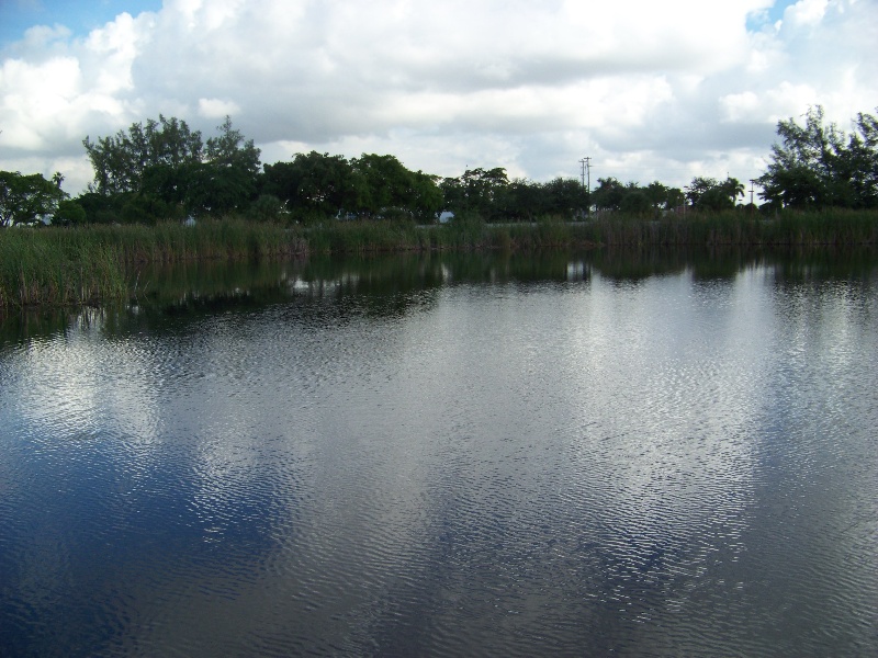 Miami Lakes fishing photo 2