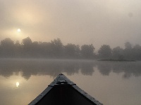 Click to View Full Size