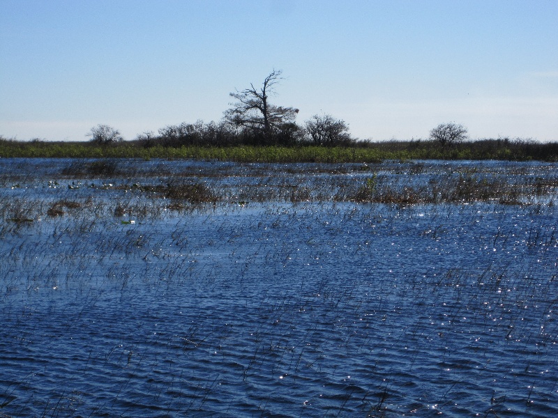 Clewiston fishing photo 2