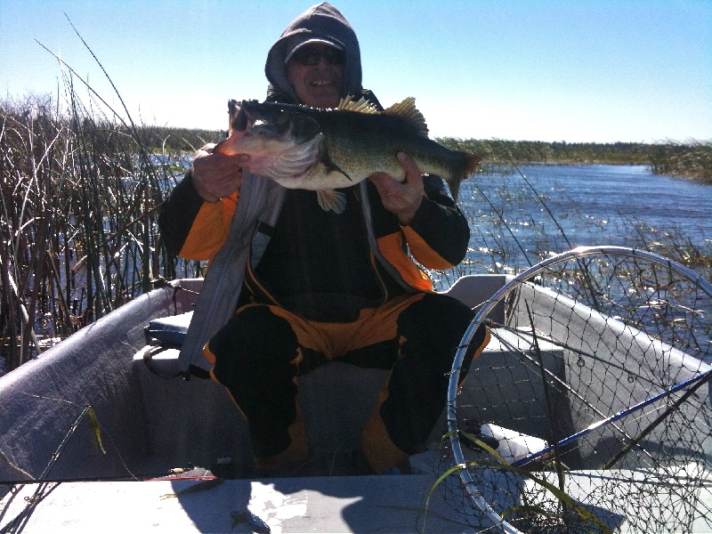 Fatty in Florida near Belle Glade