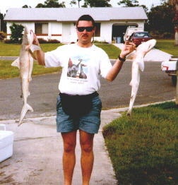 Sand Shark Heaven near Stuart