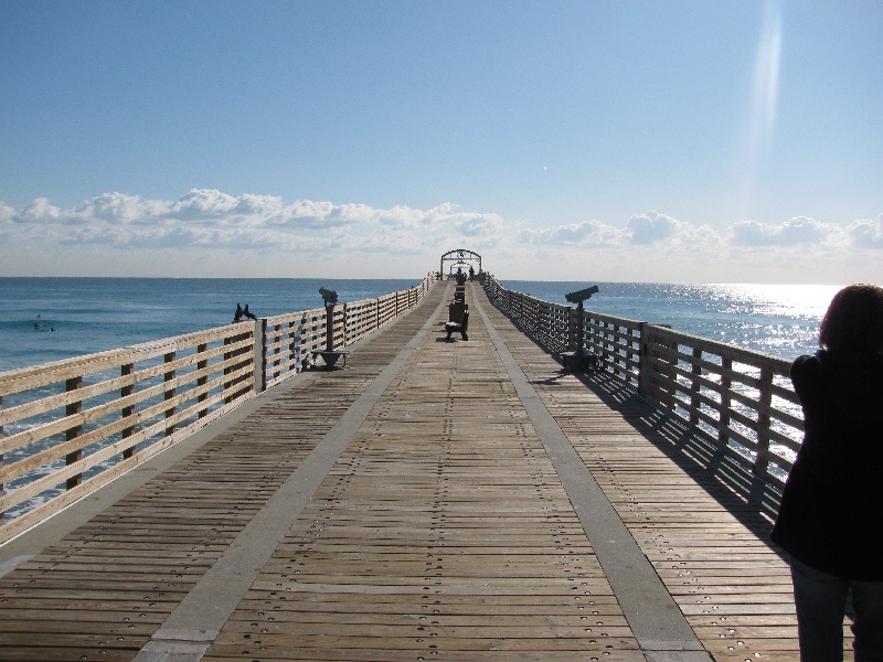 Lake Worth Beach fishing photo 1