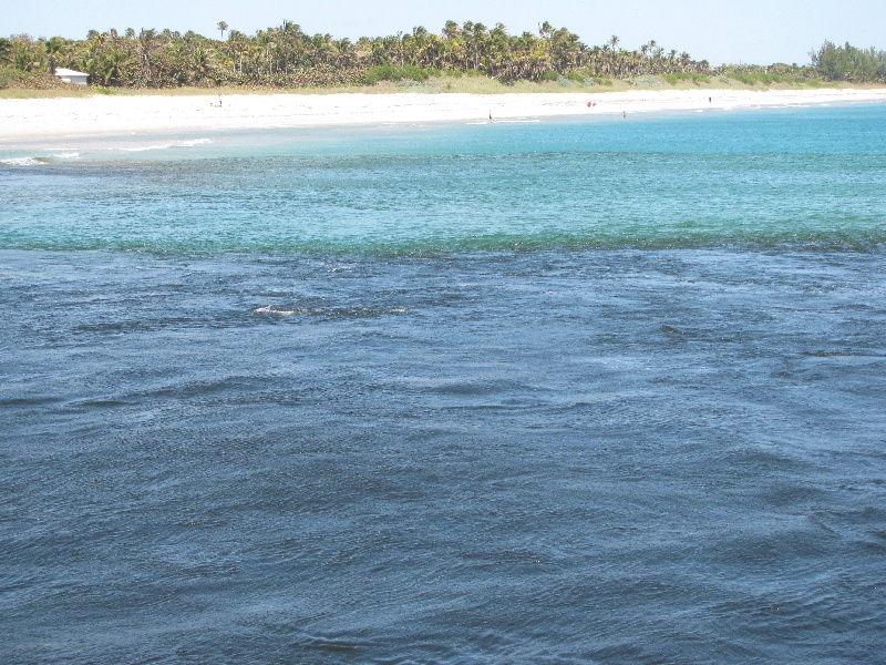 Pompano Beach fishing photo 1