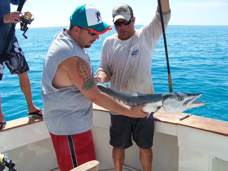 Baracuda near Key Colony Beach