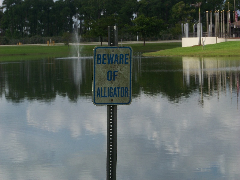 Biscayne Park fishing photo 3