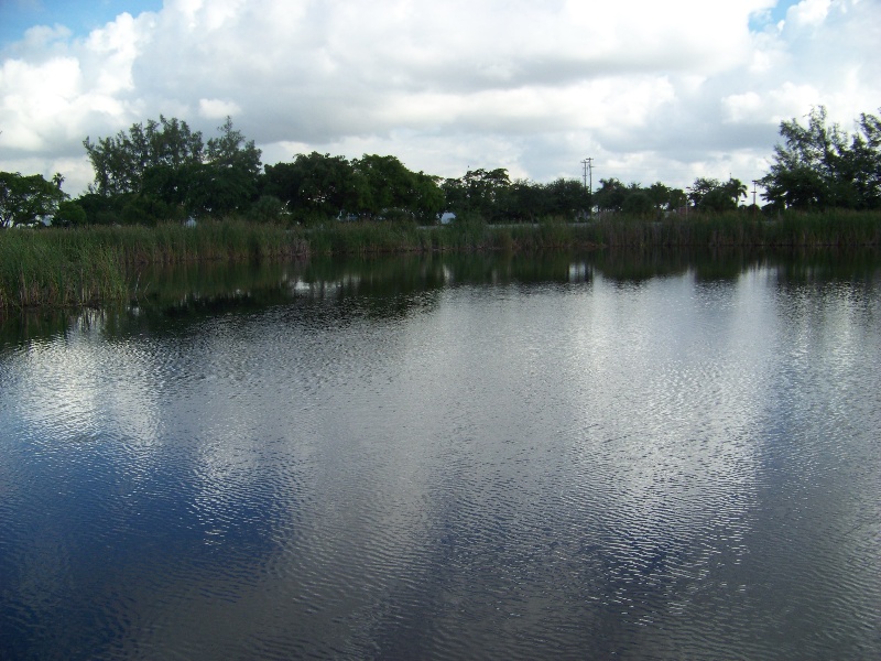 Cutler Bay fishing photo 3