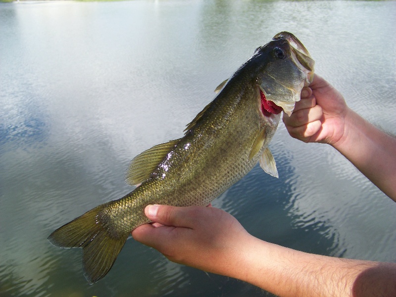 Southwest Ranches fishing photo 0