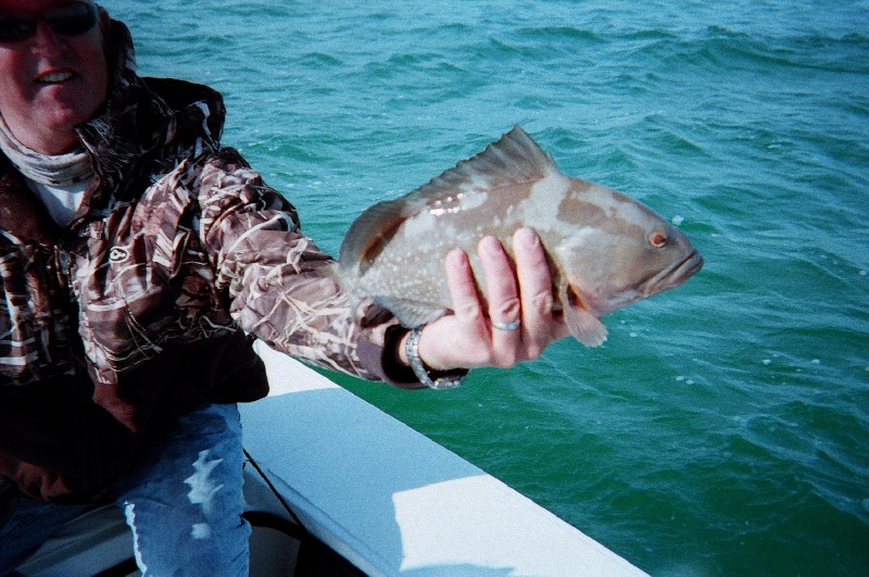 Key Colony Beach fishing photo 1