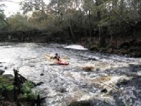 Aucilla River