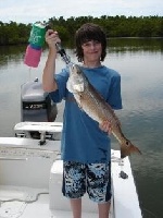 Barfield Bay
