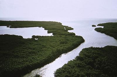 Black Creek Canal