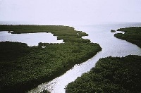 Black Creek Canal 