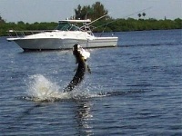 Caloosahatchee River