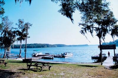 Tsala Apopka Lake