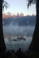 Cypress Lake